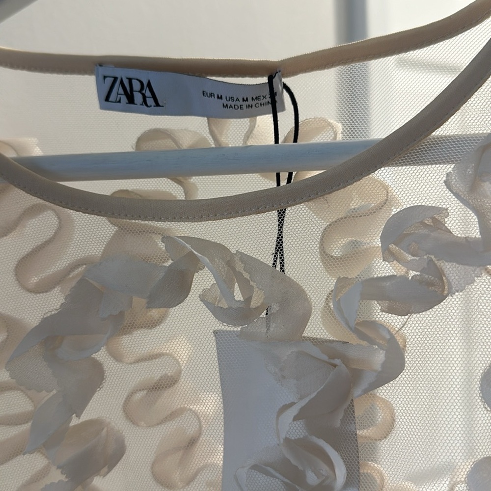 Zara Textured Tulle Top Semi-sheer Top Round Neck Short Sleeve - Picture 3 of 7